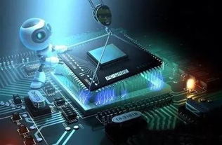 好大学与好专业 网络科技领域如何明智选择，拒绝盲目跟风